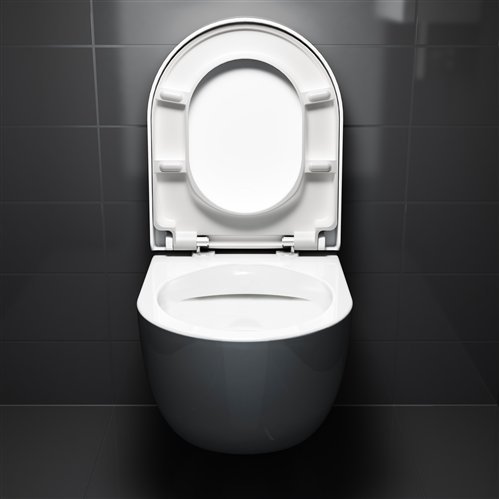 Clou Hammock hangtoilet 49cm Rimless glans wit met zitting - CL/04.01180 - Afbeelding 5